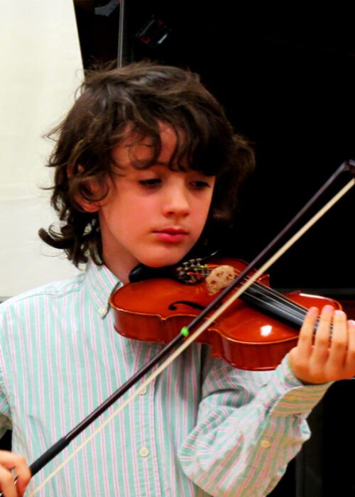 Violin, Viola, Cello, and Double Bass